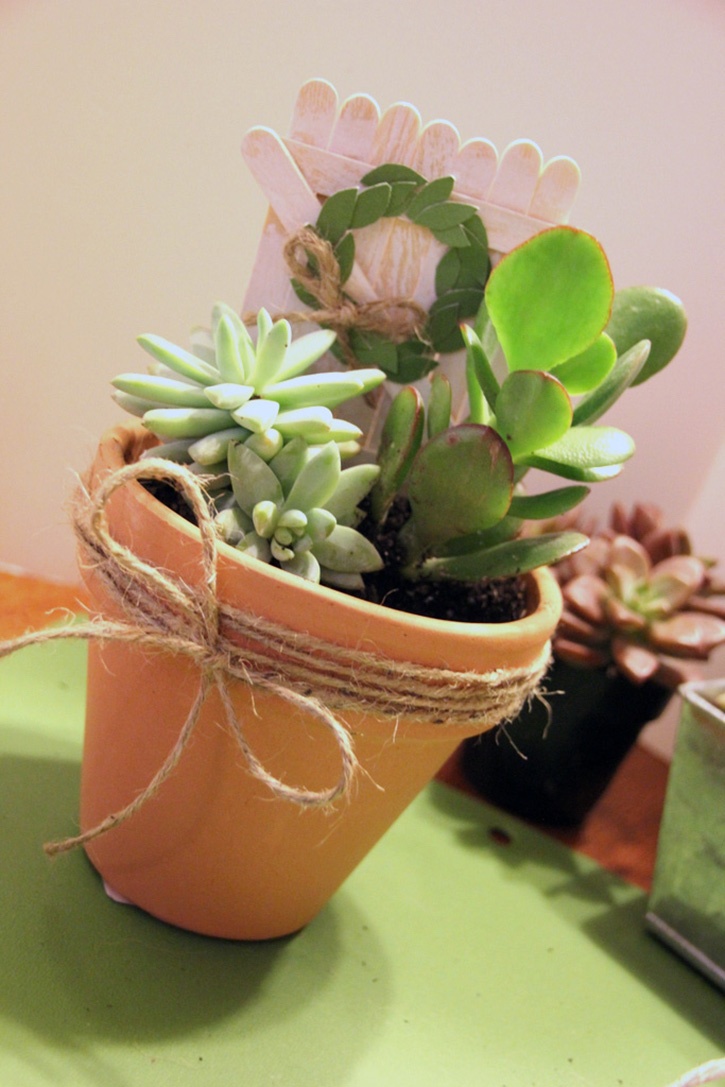 Succulent Garden Gift Idea